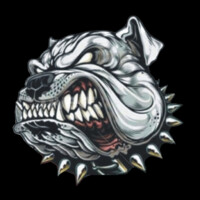 Big Bulldog Consulting logo - Similar company to Universal Fireproof Door Co. Inc.