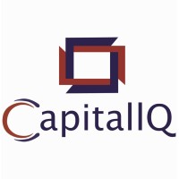 CapitalIQ logo - Similar company to Capital Iq Ltd.