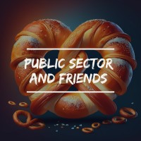 Public Sector and Friends logo - Similar company to Inbex Systems