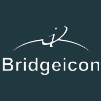 Bridgeicon IT Services logo - Similar company to Grid Mine