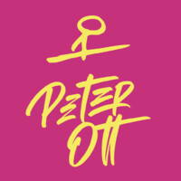 Peter Ott logo - Similar company to Ott-One