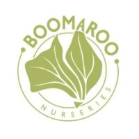 Boomaroo Nurseries logo - Similar company to Hypergen