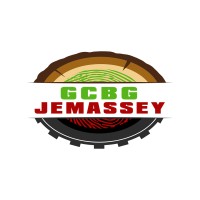 GCBG Jemassey logo - Similar company to Amazonie Service Import-Export