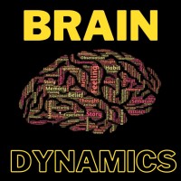 Brain Dynamics logo - Similar company to Body & Brain