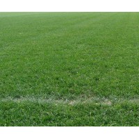 Football Pitches Ltd logo - Similar company to Holden Timber Engineering Ltd