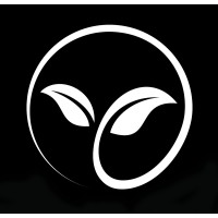 Lumea Building Co logo - Similar company to Sunrise Custom Homes