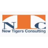 New Tigers Consulting LTD logo - Similar company to Ntc Consulting