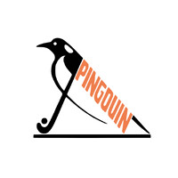Royal Pingouin Hockey Club Nivelles logo - Similar company to Betv Sa