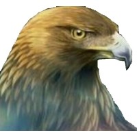Tygua Consulting Corp.