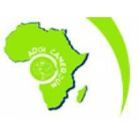ADISI-CAMEROUN logo - Similar company to Husoli Academy