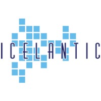 Icelantic logo - Similar company to Dunedin It