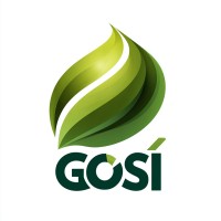 GoSí Energy logo - Similar company to Section79