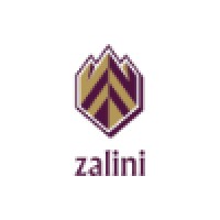 Zalini Group logo - Similar company to Salini Life Gmbh