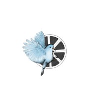 Snowbird Studios LLC logo - Similar company to In-Version Ensemble