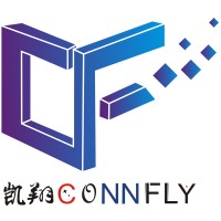 connfly logo - Similar company to Data Image