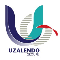 Uzalendo Groupe SAS logo - Similar company to Axnumeric