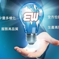 Everlast Win Electronics logo - Similar company to Lumenx Ind. E Com. De Prod. Eletr. Ltda