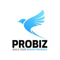 Probiz logo - Similar company to Tbvc Soft