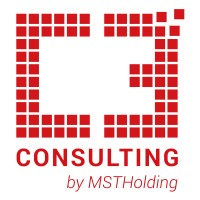 Consulting C3 logo - Similar company to Mst Holding