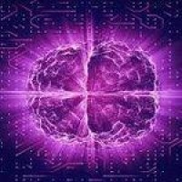 Deep Neuron logo - Similar company to Deepneuron