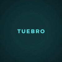 TUEBRO ELECTRONIC FRYER INDUSTRY logo - Similar company to Electronic Engineering Industries