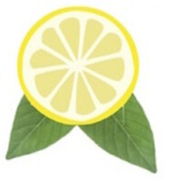 Lemonsoft Bilişim Hiz. ve Tic. Ltd. Şti. logo - Similar company to Ecospend, A Trustly Company