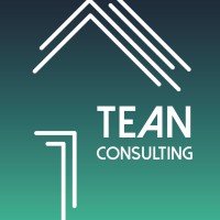 TEAN CONSULTING logo - Similar company to Nsd Concept