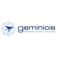geminicis logo - Similar company to Strategik & Numerik