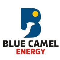 Blue Camel Renewable Energy Training Academy logo - Similar company to Pasdo: Peace Advocacy And Sustainable Development Outreach