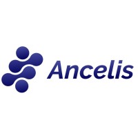 Ancelis Solutions logo - Similar company to Heron Cybersecurity