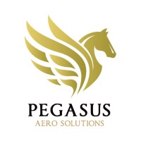 PEGASUS Aero Solutions logo - Similar company to Boost Human External Cargo Systems