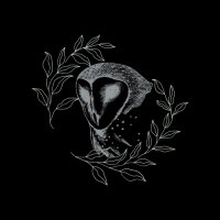 Tempus Trading FX logo - Similar company to Aisha Living