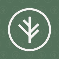Branch logo - Similar company to Next Insurance