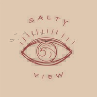 Salty View logo - Similar company to Saison D'Or