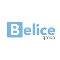 Belice Group AŞ. logo - Similar company to Berazol