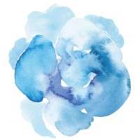 Compagnie Les Cils logo - Similar company to Awakening Dance Company