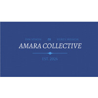 Amara Collectiv Agency logo - Similar company to Amara Collective