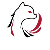 ANGX Technologies Inc. logo - Similar company to Անգղ