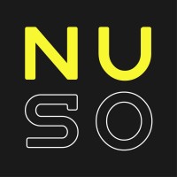 NUSO Product Consulting logo - Similar company to Dnc Designs