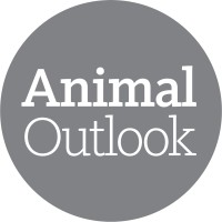 Animal Outlook logo - Similar company to Whoelse.Ai