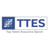 Top Talent Executive Search - HeadHunter logo - Similar company to Expertus Blueviser