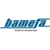 bamefa GmbH logo - Similar company to Bernstein Ag