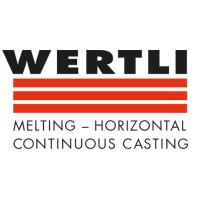 Alfred Wertli AG logo - Similar company to Ces Complete Electronic Systems Ag