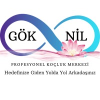 Gök&Nil Profesyonel Koçluk Merkezi logo - Similar company to Kemal Başaranoğlu Koçluk, Danışmanlık Lti. Şti.