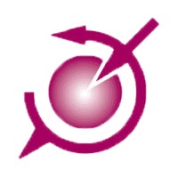 Delft Solids Solutions B.V. logo - Similar company to Chem Bio