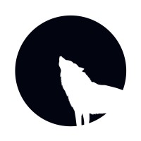 Notal logo - Similar company to Unilocker