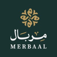 Merbaal logo - Similar company to Alytic-Future Solutions