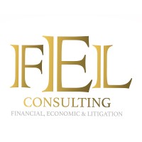 FEL Consulting logo - Similar company to Jnc Llc High Performance Professional Services Firm (Psf)