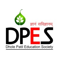 Dhole Patil College of Physiotherapy logo - Similar company to T.L.C. Physical Therapy