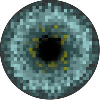 Skid Visual Science logo - Similar company to Visual Science